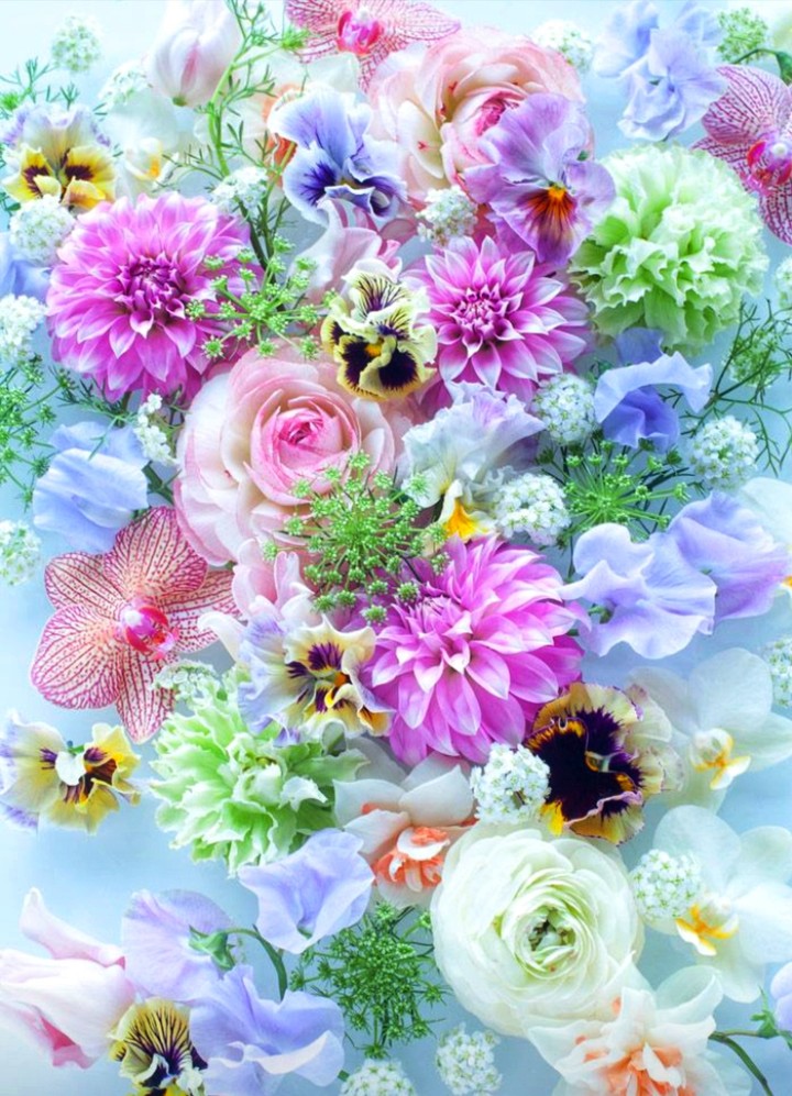 Flora
