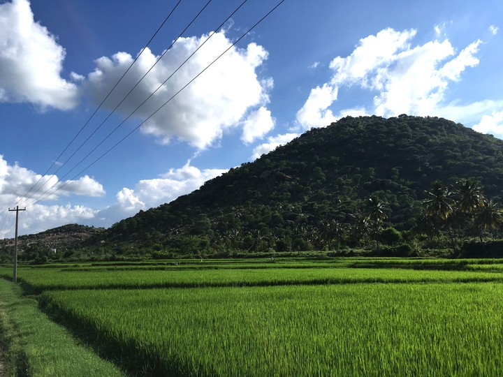 Krishnagiri Agriculture Land View