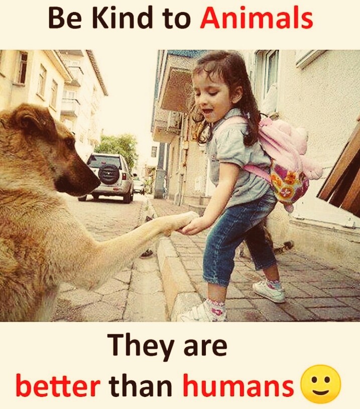 luvble animals