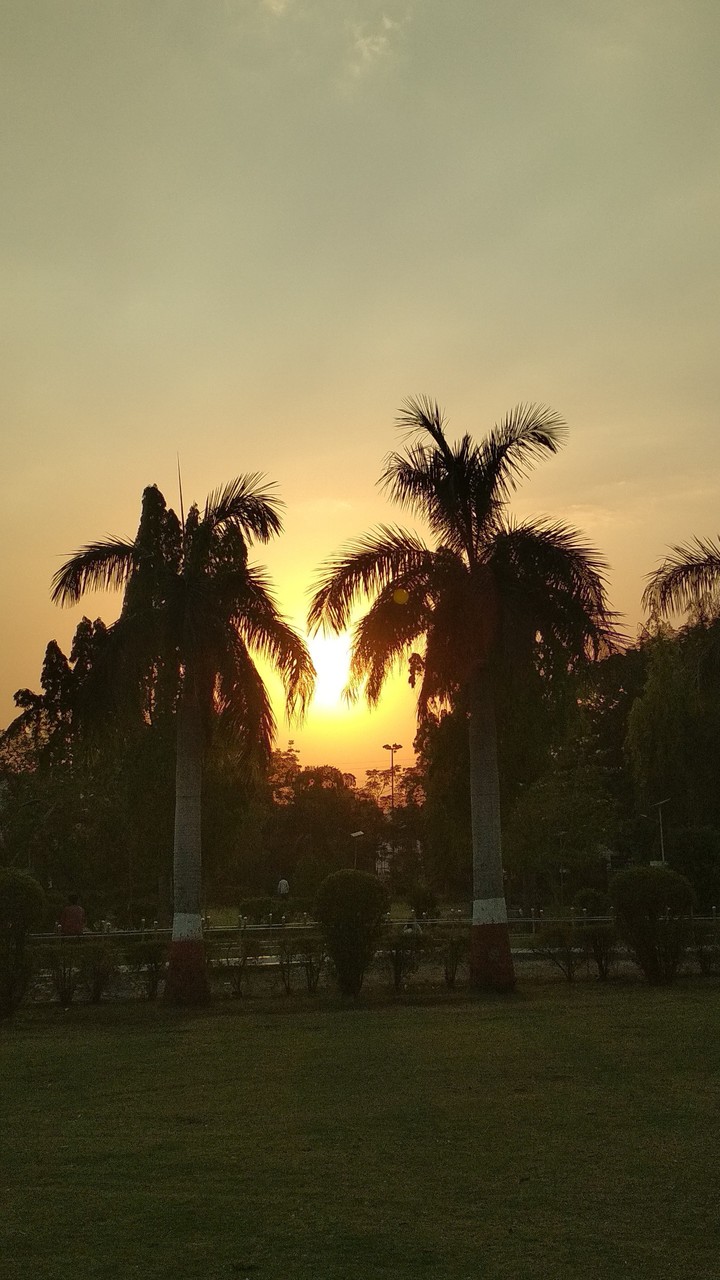 #$unset