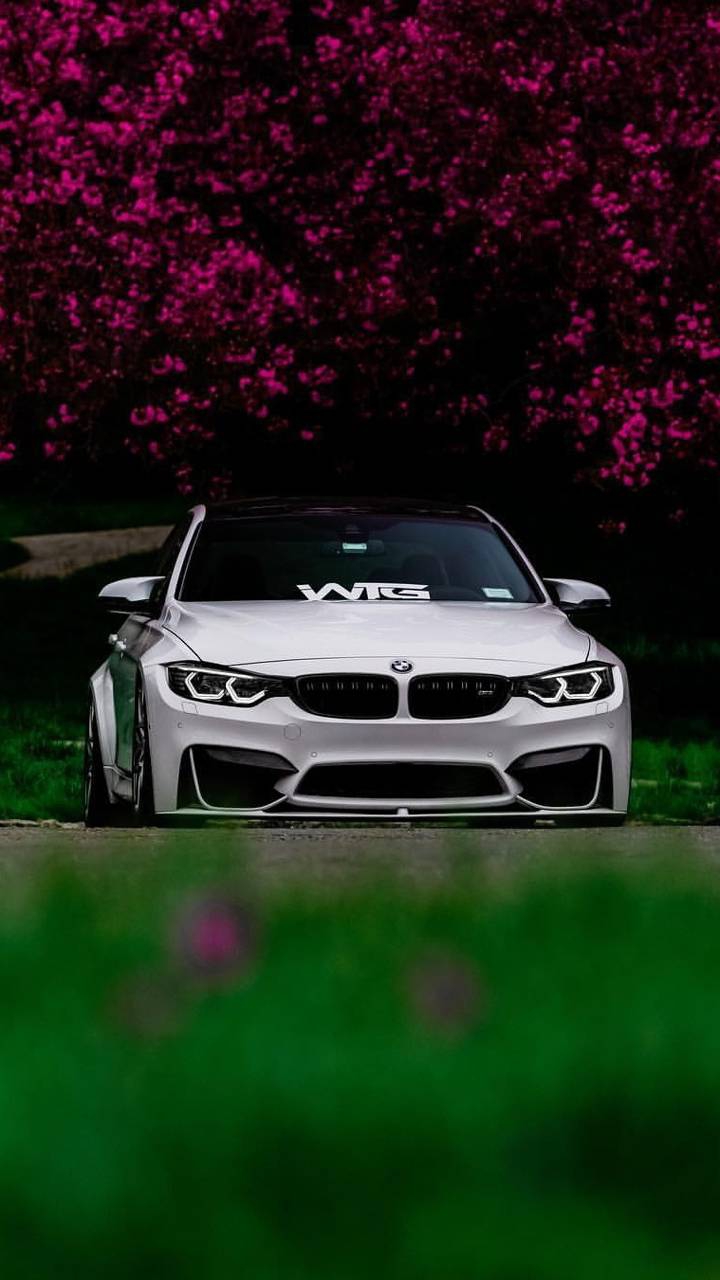 spring bmw