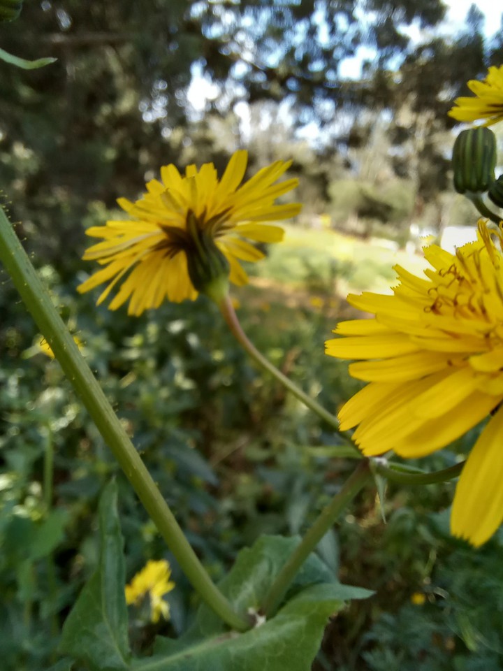 nature