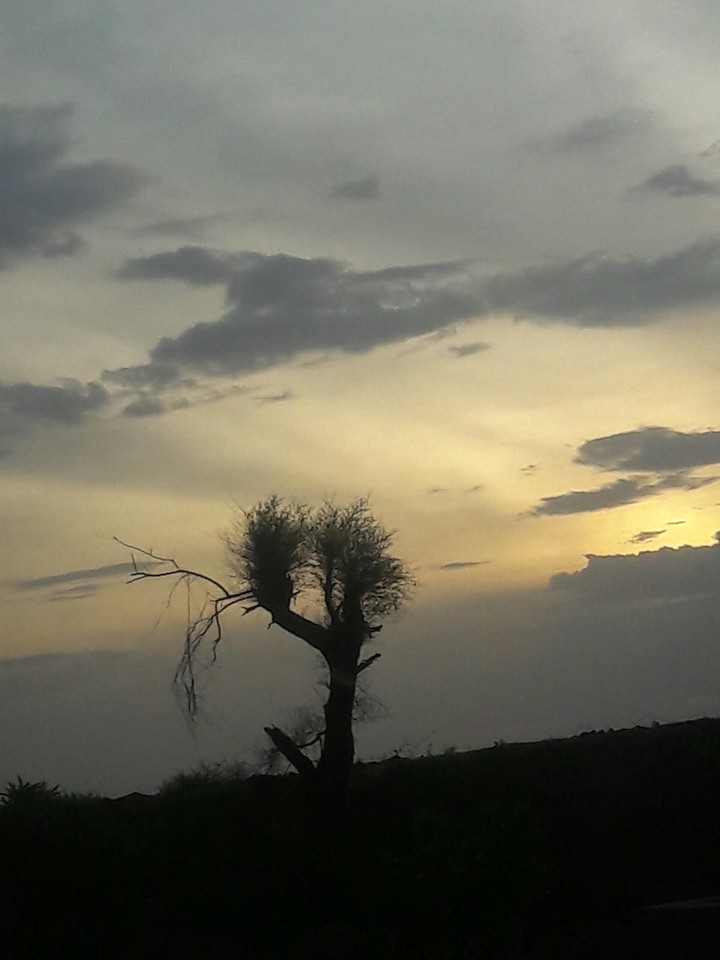 #evening