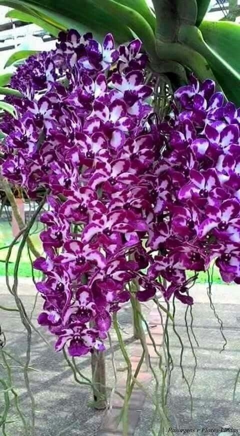 so nice