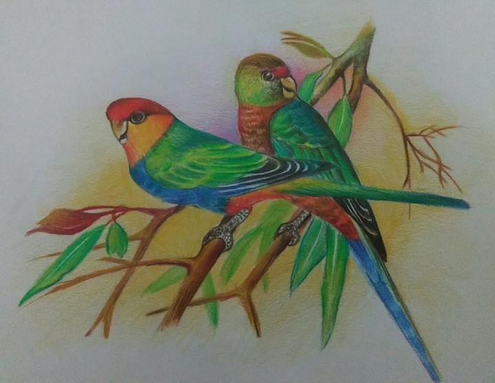tt
