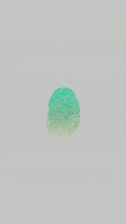 figerprint
