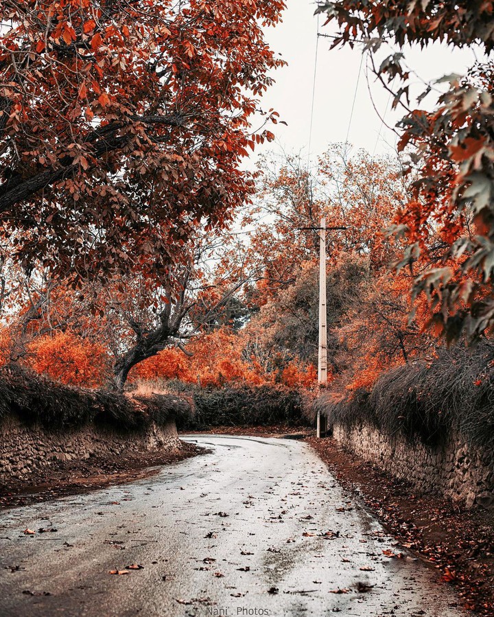 Shiraz Nature