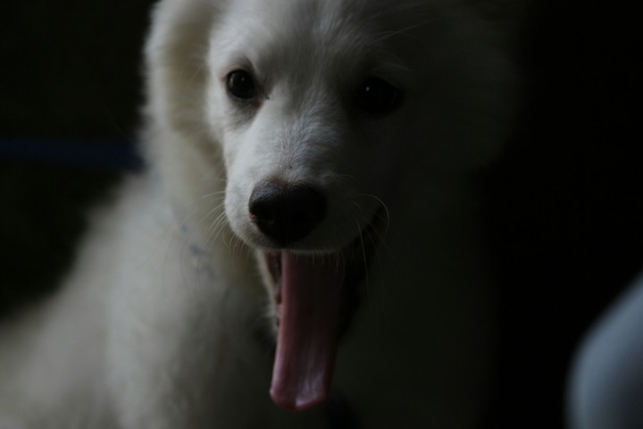 my click my sweetheart "Jaanu"