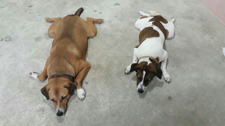 basic position
