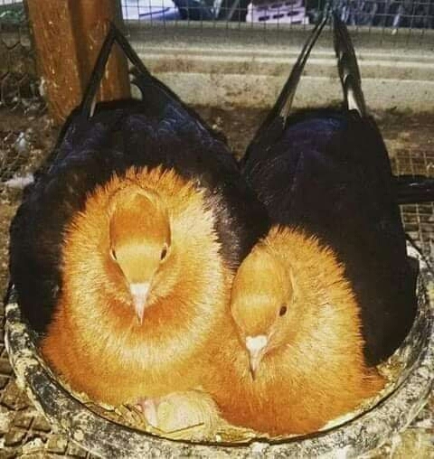 ♥♥♥♥