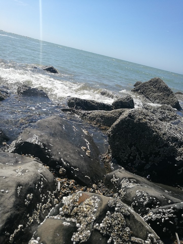 Sea