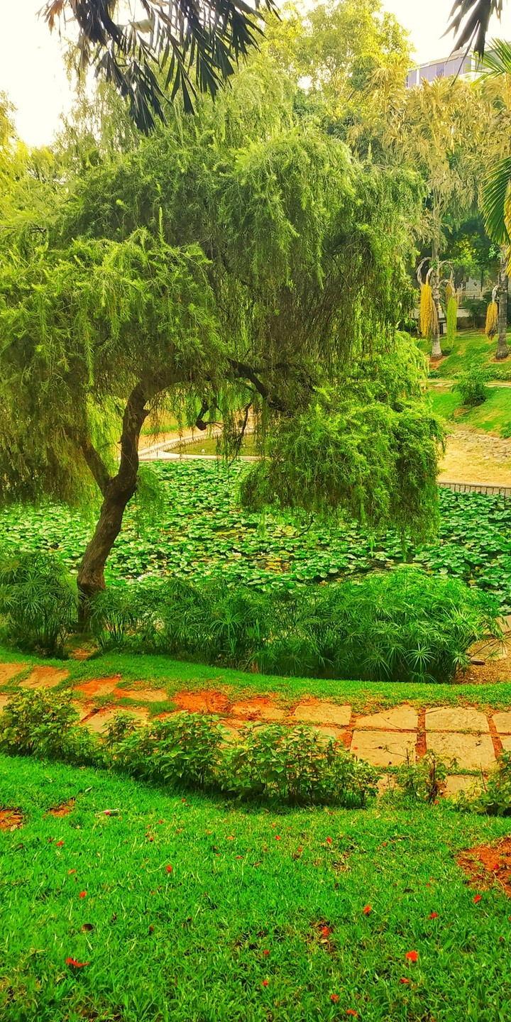 green