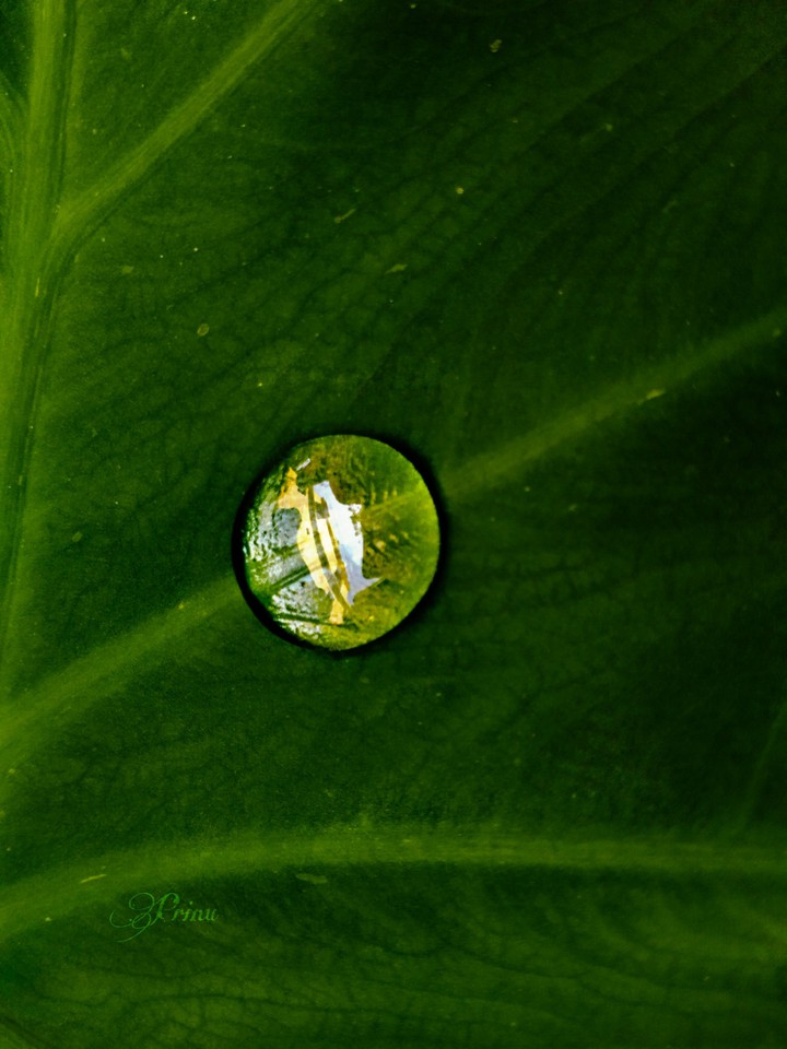 Reflection of building & Sky on Droplet