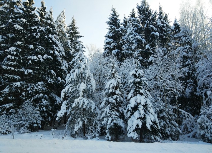Snow