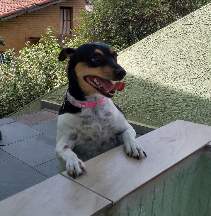 Lara Fox, São Paulo - Brazil
