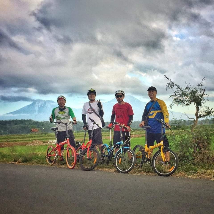 gowes seli