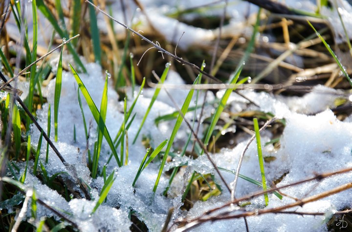 Winter Weather