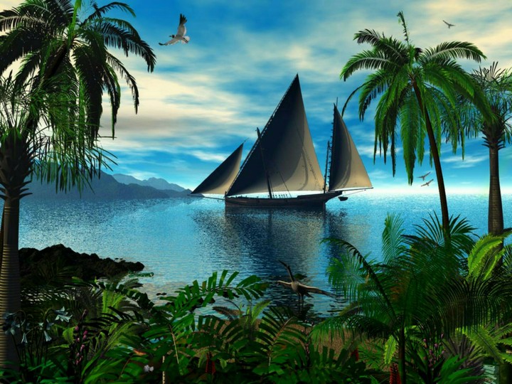 Paysage sea