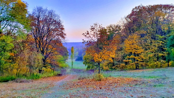 Autumn