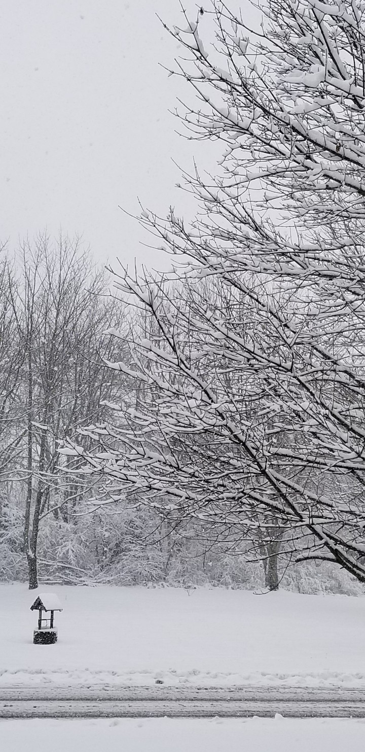 Winter's day