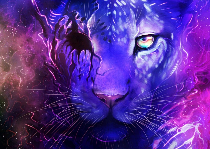 galaxy