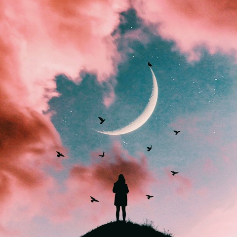 dreamer