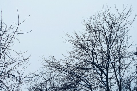 Cold Winter