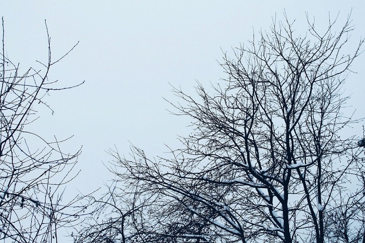 Cold Winter