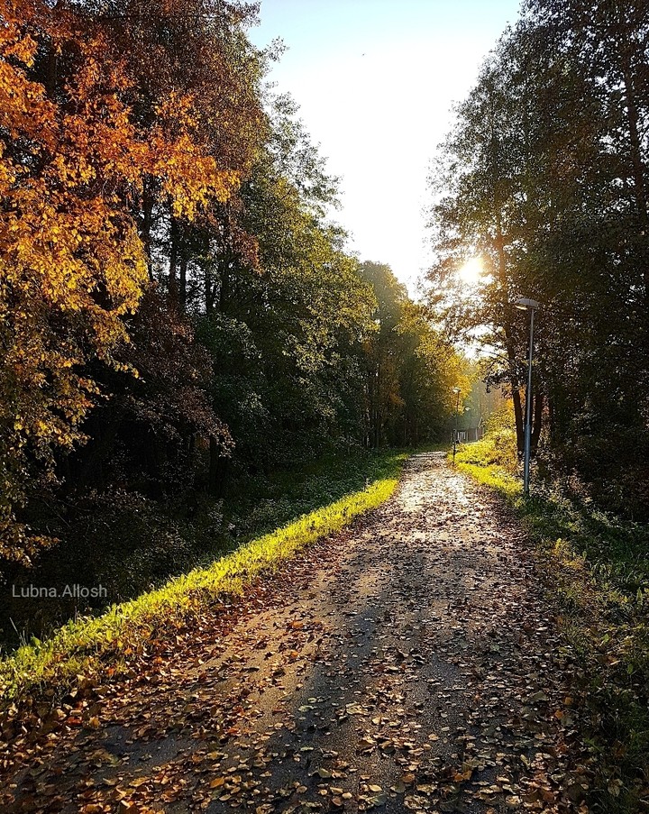 Autumn
