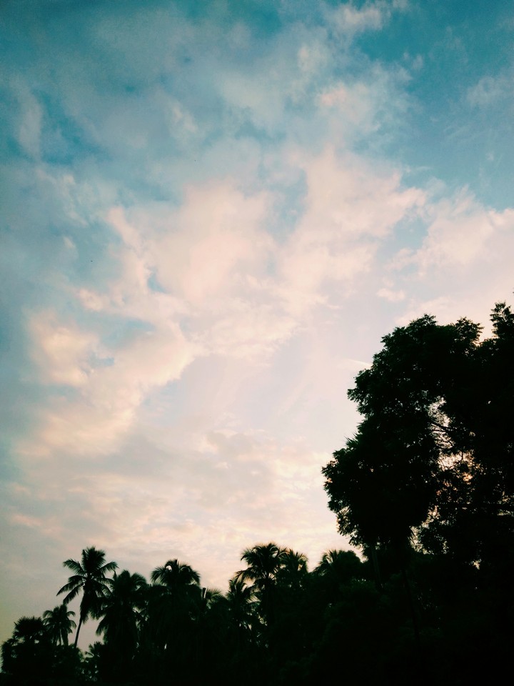 View❤