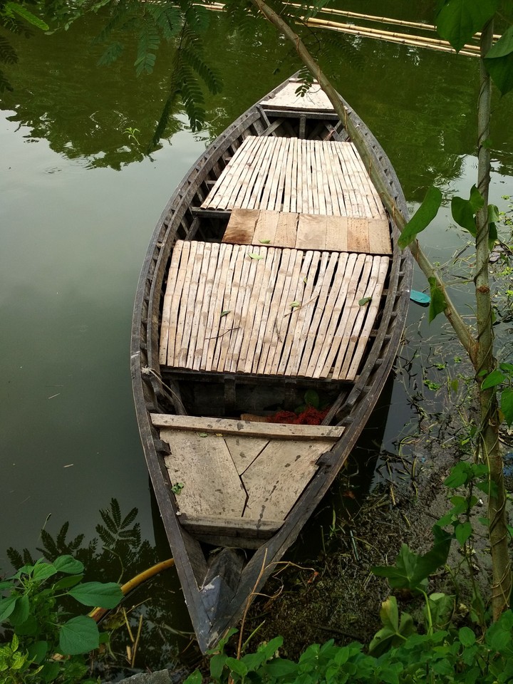 boat