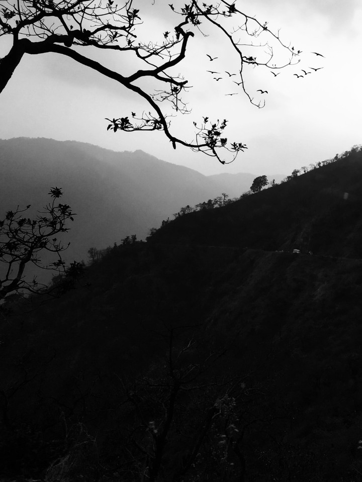 Mountain view