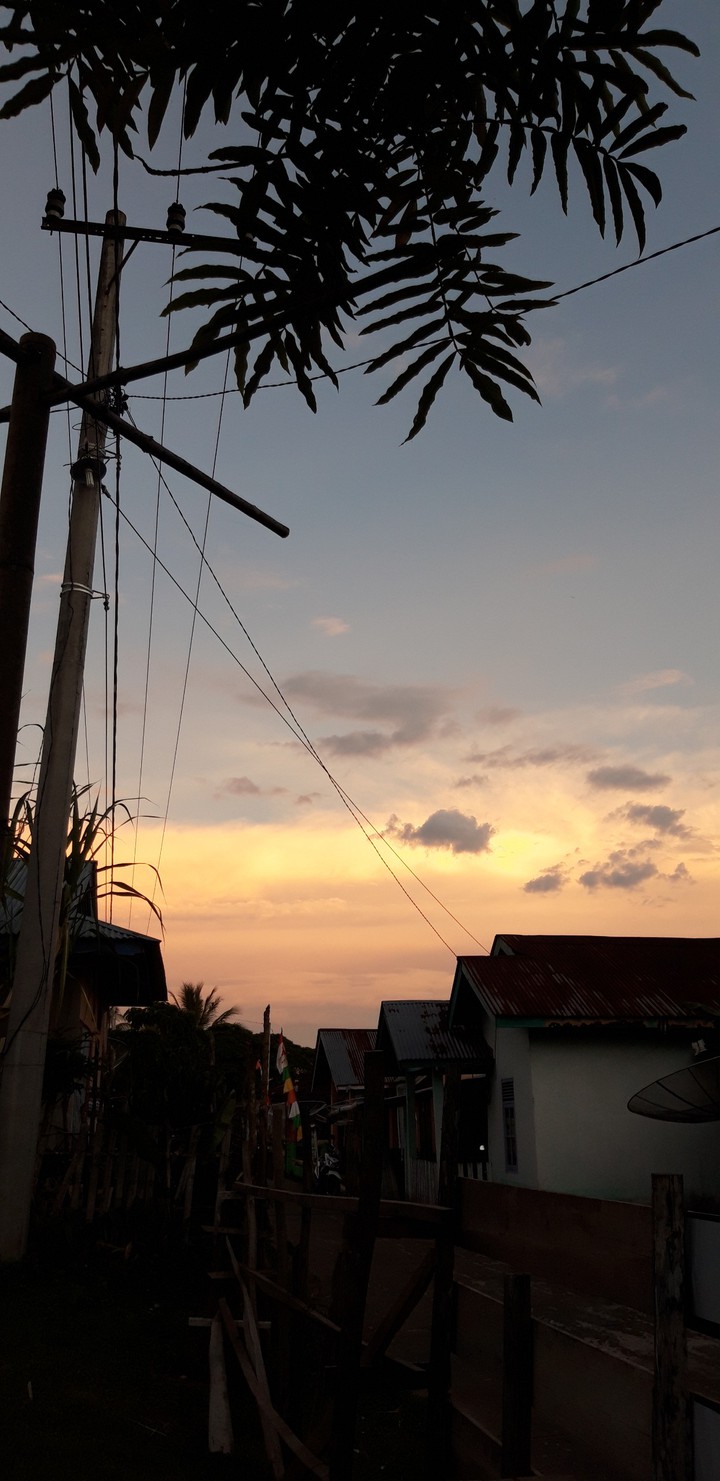 Senja