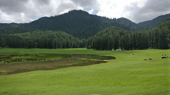 Khajjiar Green VALLEY