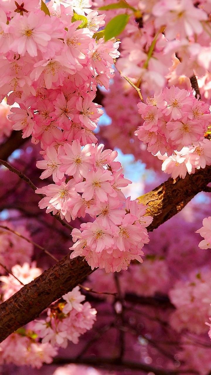 flowerpiece