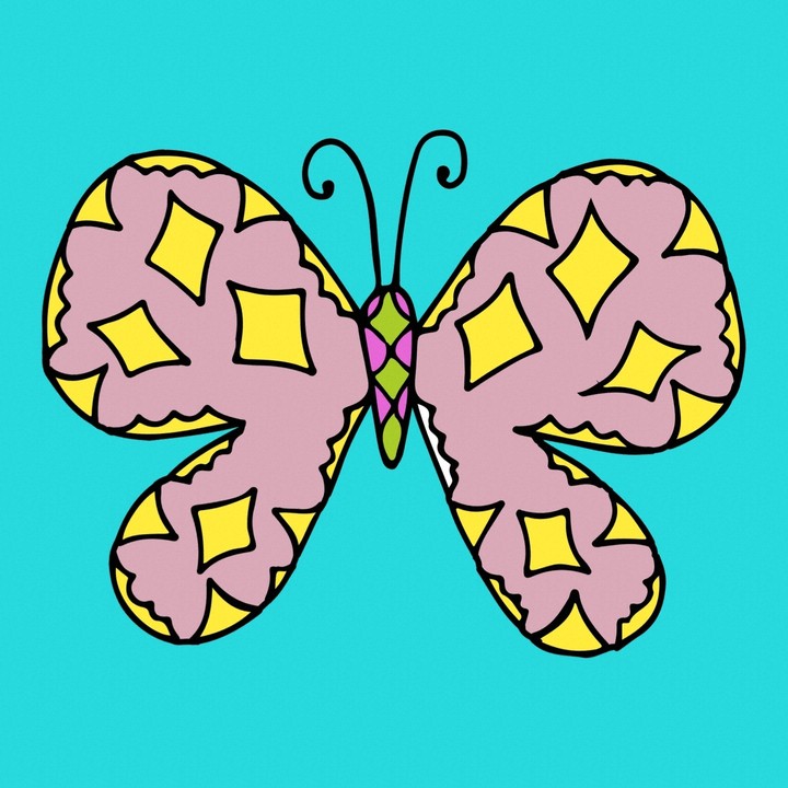 butterfly