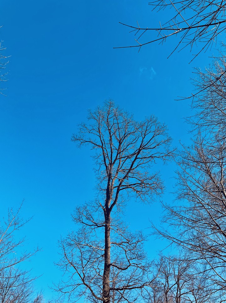 blue sky, blue eyes