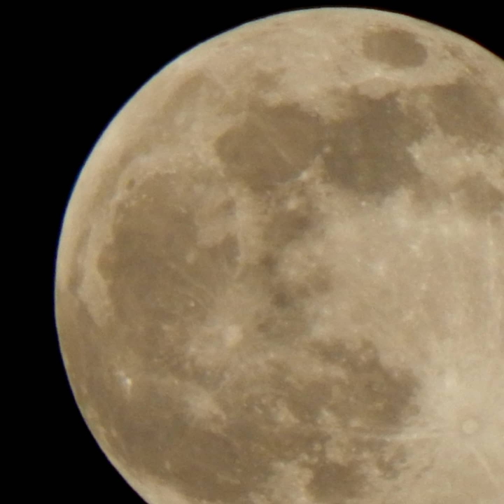 pink moon