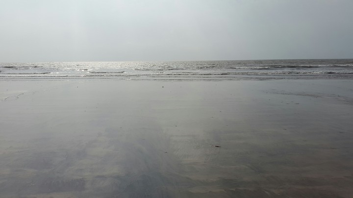 Sometimes it's good to move with the waves!