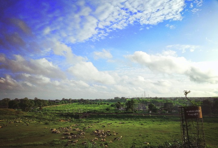 nature of india