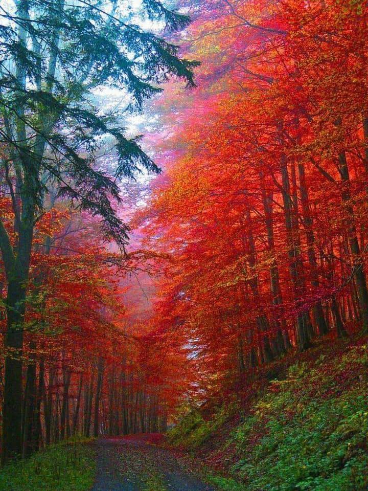 nature