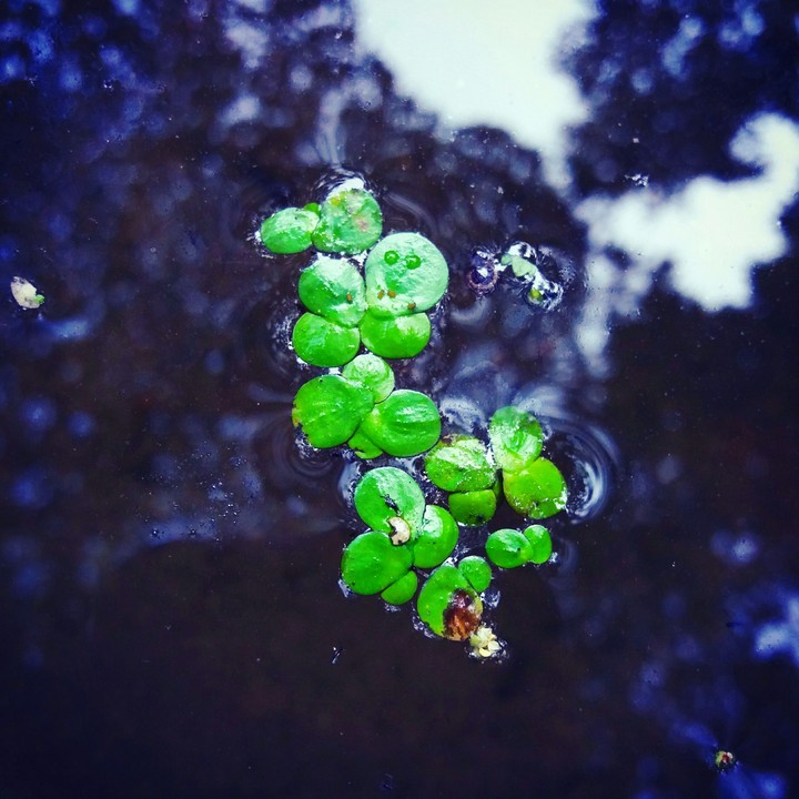 floating