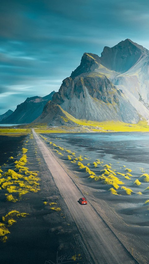 шпалери plant, mountain