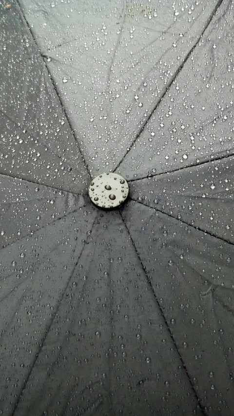 umbrella