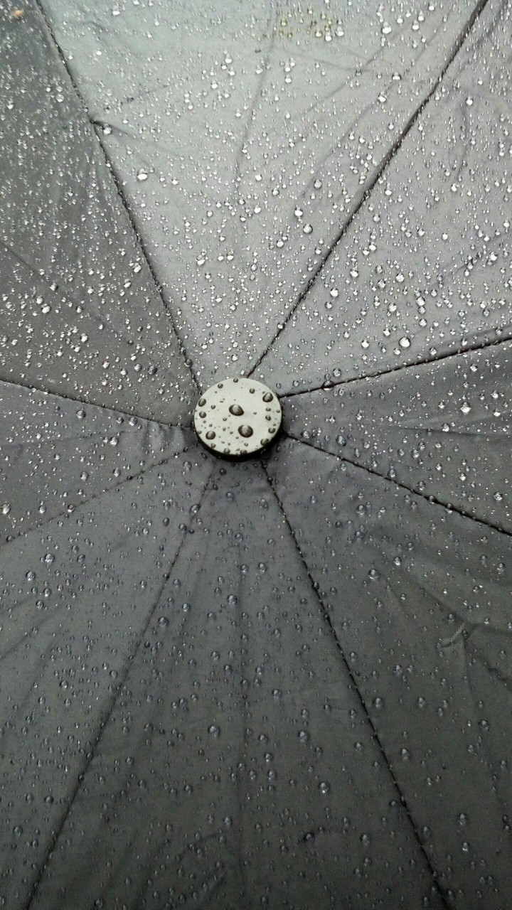 umbrella