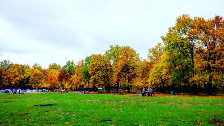 Contrasting autumn