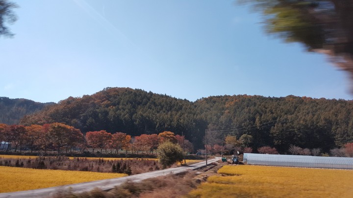 순간 포착