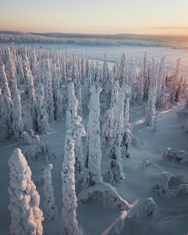Winter Wonderland