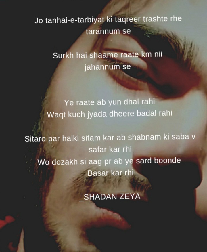 Shayri