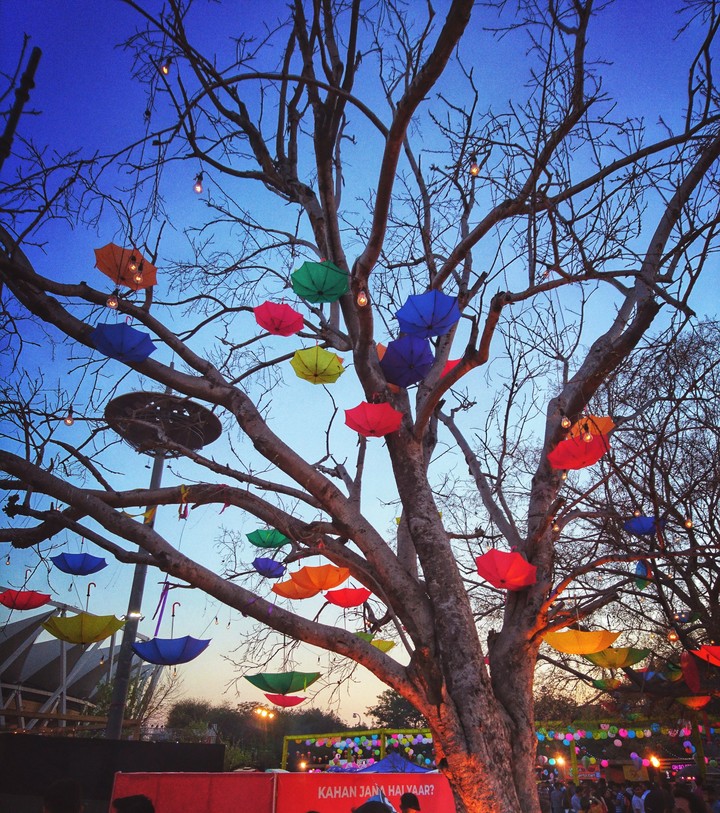 Umbrella catcher